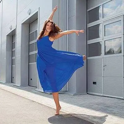 Промышленные ворота ProPlus